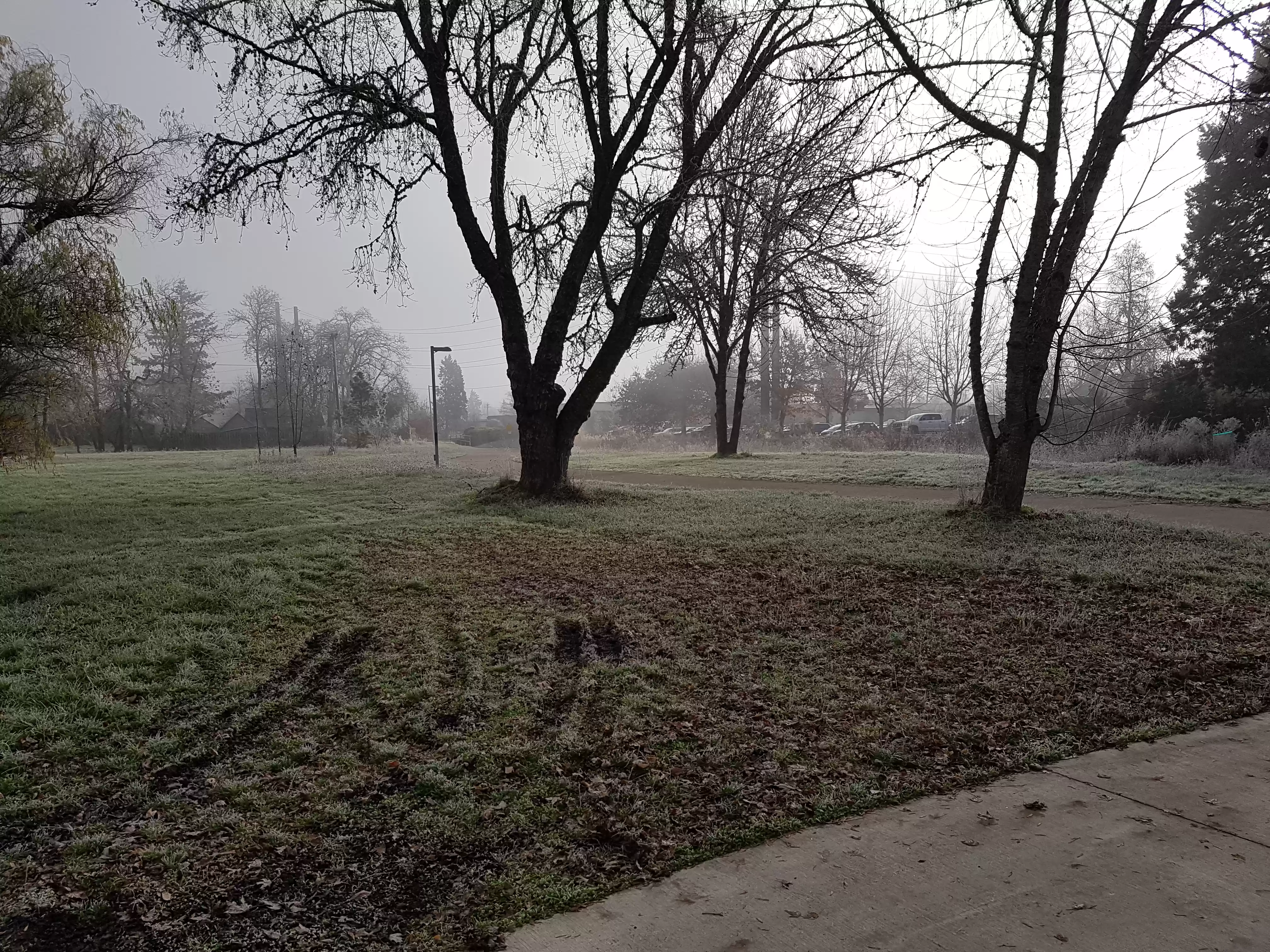20171211_101150